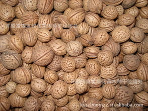 批发辽宁京桃种子 绿化苗木 园林苗木指导价 批发辽宁京桃种子 绿化苗木 园林苗木行情 开原市森友绿化苗木种子经销处