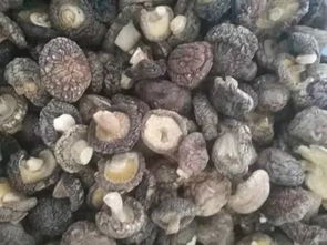 大农圈 农业供求信息 第一百九十期