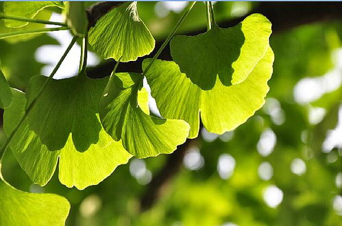 卡尼尔护肤品投资白手起家也能创业