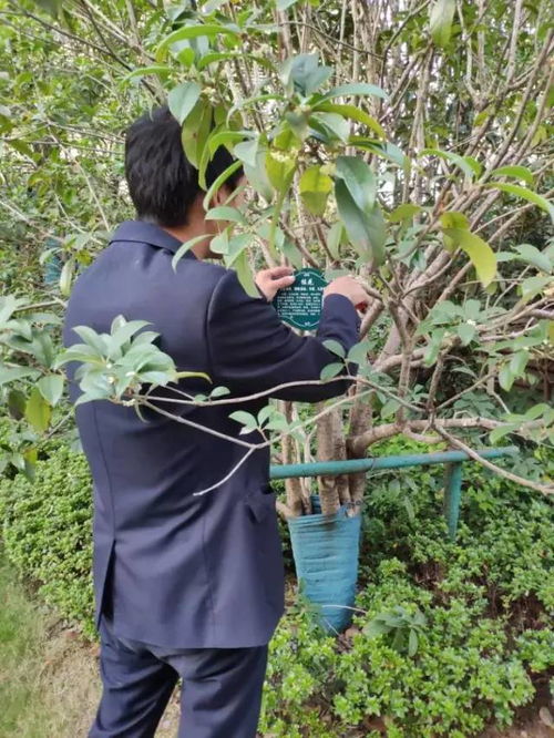 百优服务环境第三周