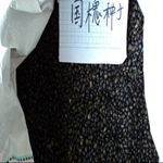 江苏沭阳祖权苗木园艺场 种苗、种子与苗木供应的匠心之选